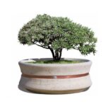 Fioriera in cls - EDFE618