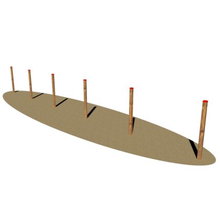 Slalom Agility dog - EPG3256
