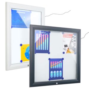 Ewicity101led